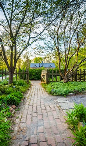 Featured Community Photo